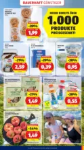 HOFER HOFER: Flugblatt - ab 18.09.2026