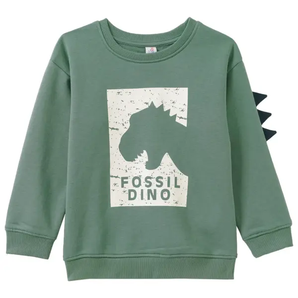 Jungen Sweatshirt
