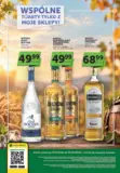 Aktualne oferty i promocje