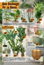 Hornbach Hornbach: Es gibt immer was zu tun. - bis 30.09.2026