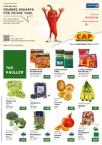 CAP-Markt Aktuelle Schn&auml;ppchen und Angebote - bis 26.09.2026