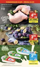 Najlepsze oferty i rabaty