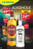Nowe oferty do odkrycia