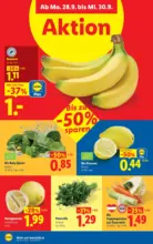 Lidl Lidl - ab 24.09.2026