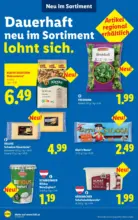 Lidl Lidl - ab 24.09.2026
