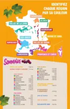 FOIRE AUX VINS - MIXTE