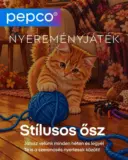 Pepco akciós