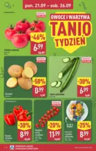 Aldi gazetka