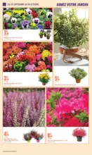 EVEN JARDIN OCTOBRE