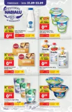 Codziennie niskie ceny L - oferta od 21.09