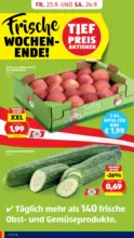 HOFER HOFER: Flugblatt - ab 25.09.2026
