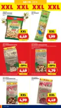 HOFER HOFER: Flugblatt - ab 25.09.2026