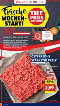 HOFER HOFER: Flugblatt - ab 25.09.2026