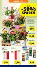 HOFER HOFER: Flugblatt - ab 25.09.2026