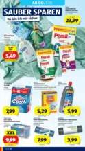 HOFER HOFER: Flugblatt - ab 25.09.2026