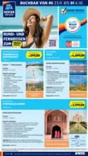 HOFER HOFER: Flugblatt - ab 25.09.2026
