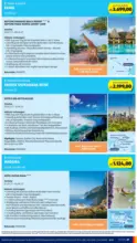 HOFER HOFER: Flugblatt - ab 25.09.2026
