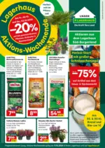 Lagerhaus Wochen Angebote - bis 11.10.2026