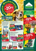 Lagerhaus Wochen Angebote - bis 11.10.2026