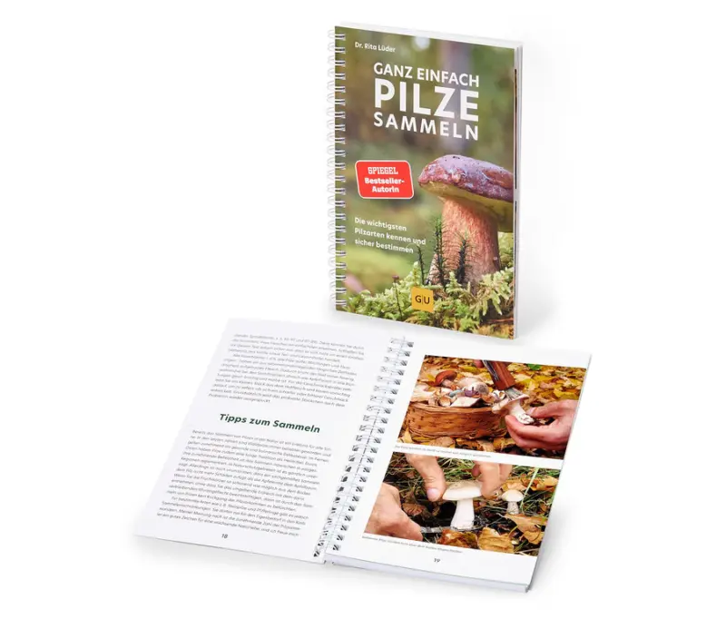 Buch &raquo;Ganz einfach Pilze sammeln&laquo;