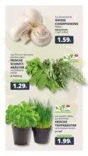 Rewe: Wochenangebote