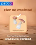 Szeroki wybór ofert
