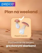 Szeroki wyb&oacute;r ofert Pepco &ndash; do 08.10.2026