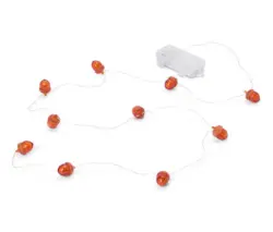 LED Lichterkette &raquo;Eicheln&laquo;