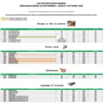 Promocash Offre mar&eacute;e - au 01.10.2026