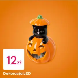 Pepco gazetka