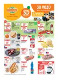 Globus 40 26 L1