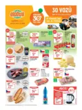 Globus 40 26 L1