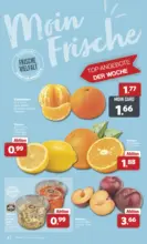 Combi - Angebote 05.10.-10.10.2026