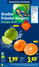Lidl: Wochenangebote