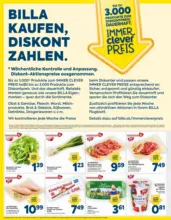 BILLA: Flugblatt g&uuml;ltig bei BILLA & BILLA PLUS