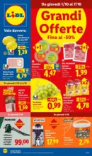 Lidl Grandi Offerte Fino al -50% - al 07.10.2026