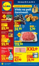 Lidl Lidl let&aacute;k do 30.09.2026 &ndash; do 30.09.2026