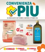 Pac 2000 A Soc. Coop. R.L. Convenienza Pi&ugrave; - al 06.10.2026