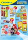 Nowe oferty do odkrycia