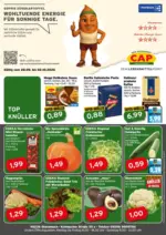 CAP-Markt Gro&szlig;e Auswahl an Angeboten - bis 02.10.2026