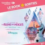SAS CARREFOUR HYPERMARCHES LE BOOK DES SORTIES AUTOMNE - au 07.02.2027