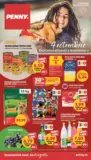 Catalog Penny p&acirc;nă &icirc;n data de 06.10.2026