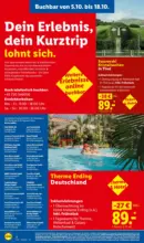 Lidl Lidl Reisen - bis 31.10.2026
