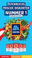 HOFER: Flugblatt