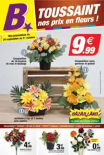 Bazarland Toussaint nos prix en fleurs ! - au 11.10.2026