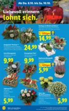 Lidl Lidl - bis 14.10.2026