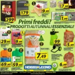 Hobby & Legno Primi freddi ? - al 10.10.2026