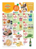 Globus 41 26 L1