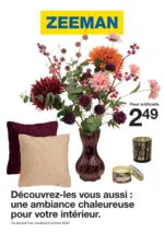Zeeman D&eacute;couvrez-les vous aussi : une ambiance chaleureuse pour votre int&eacute;rieur. - au 09.10.2026