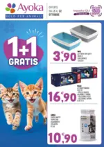 Multicedi S.r.l. 1+1 Gratis - al 22.10.2026